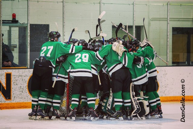 LDC Boys Hockey vs Luverne Section 3A Championship